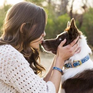 NWT The Mucky pup friendship matching dog collar and bracelet